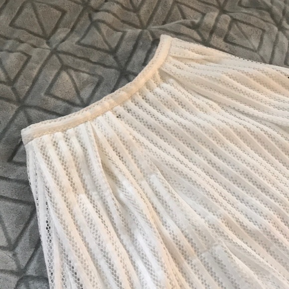 Mesh Skirt - Picture 3 of 3